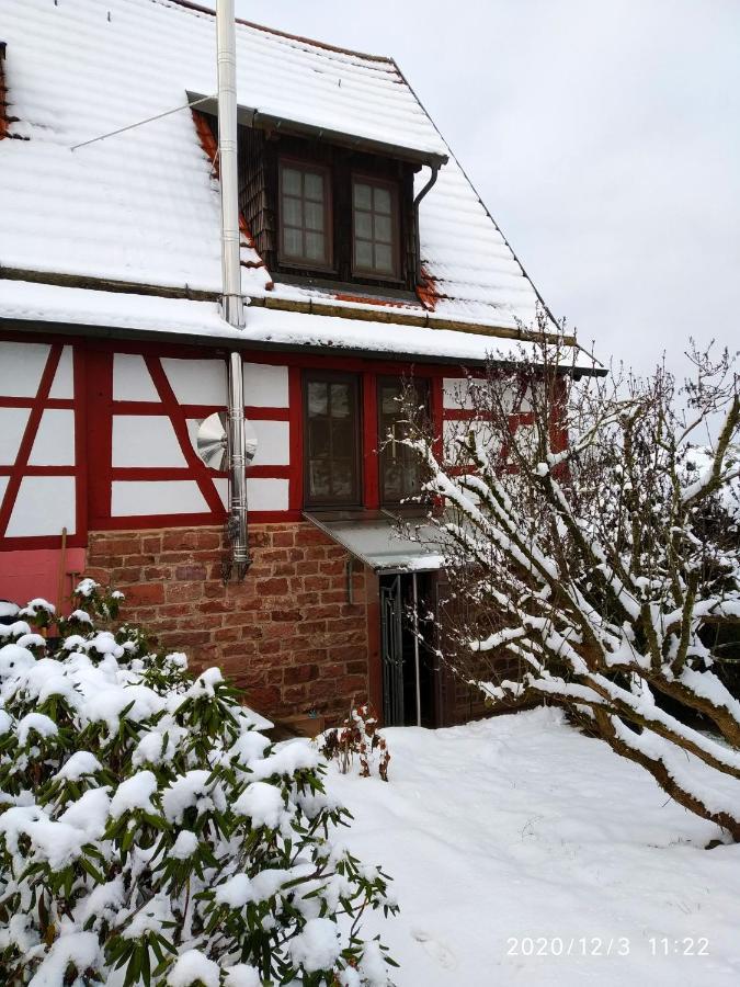 Ferienhaus Marre - Mit Grill, Feuerstelle Und Gartensauna Waldbrunn  エクステリア 写真